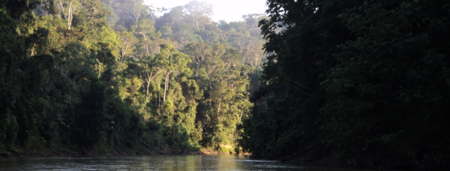 Brazil Nut Concessions  in Madre de Dios